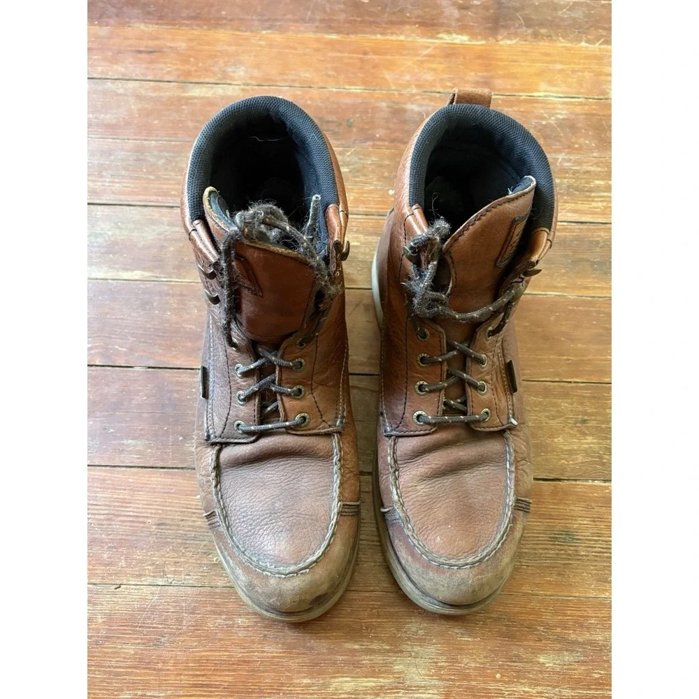 Irish Setter 6
